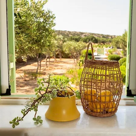 The Happy Place Parikia (Paros)