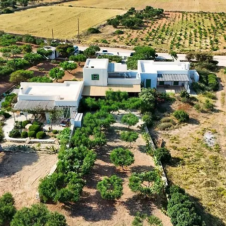 The Happy Place * Parikia (Paros)